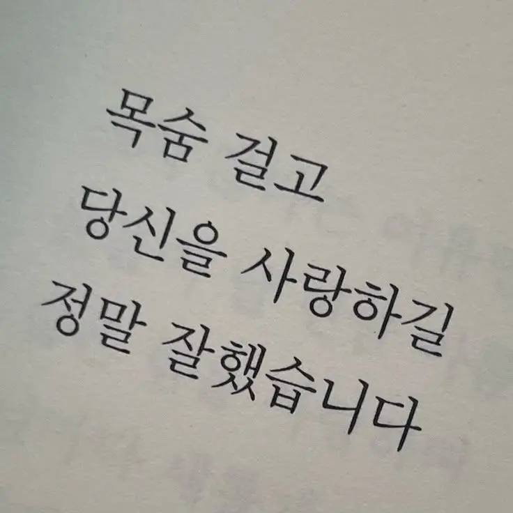 mocha127의 포세이큰 장말철
