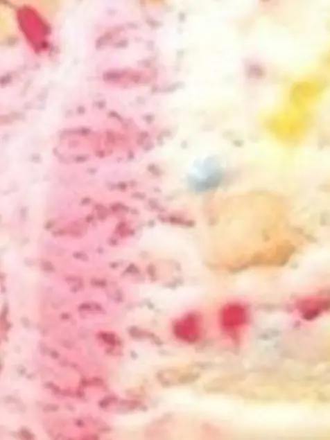 X5___의 ⋆.*こっち向いてお姉さん.*