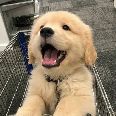 Profile image of 안건호