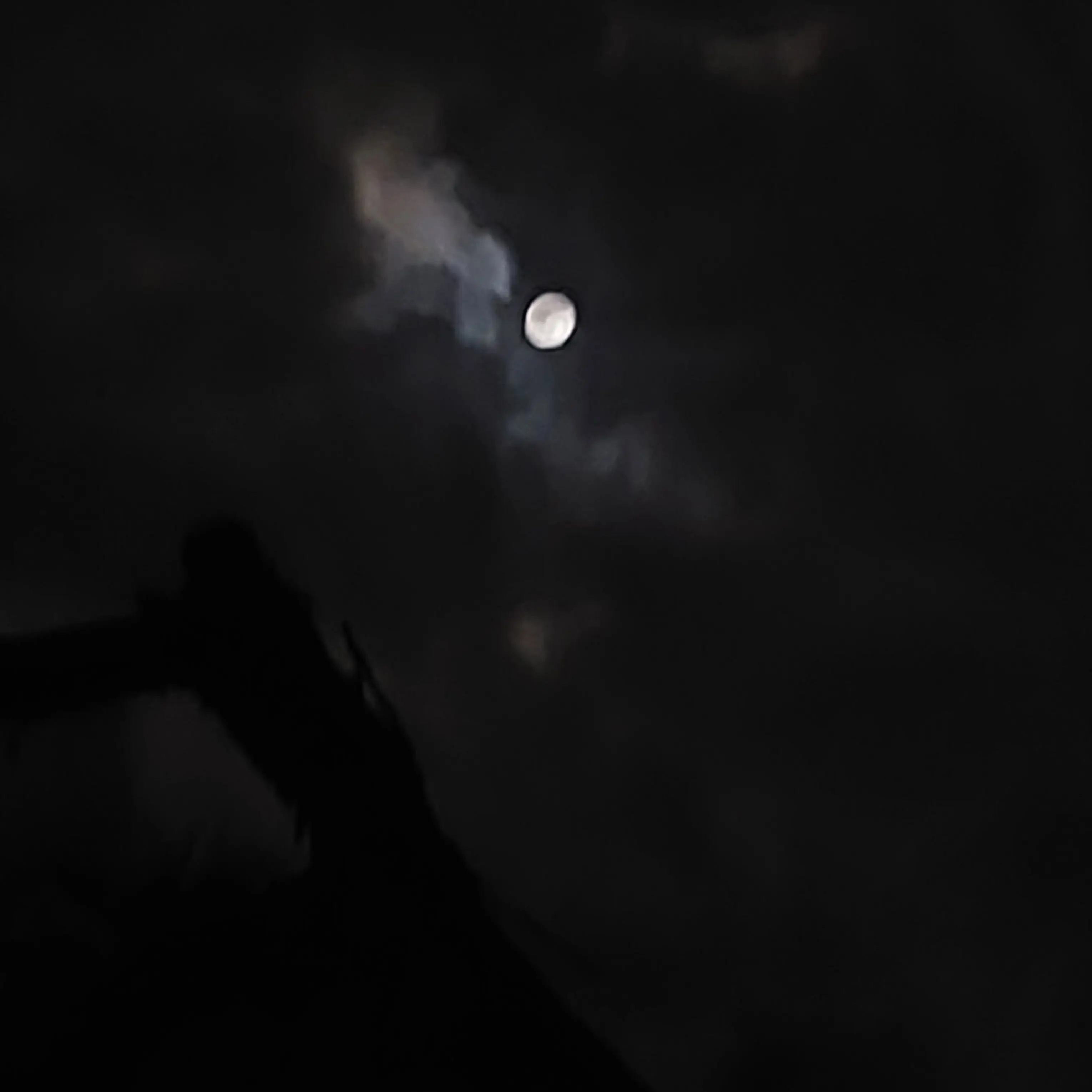 BoldStool5856의 ㅌㅅ24