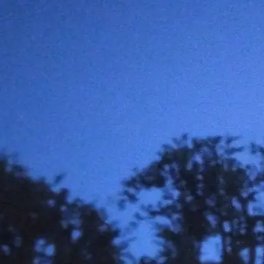 Profile image of 夜の街