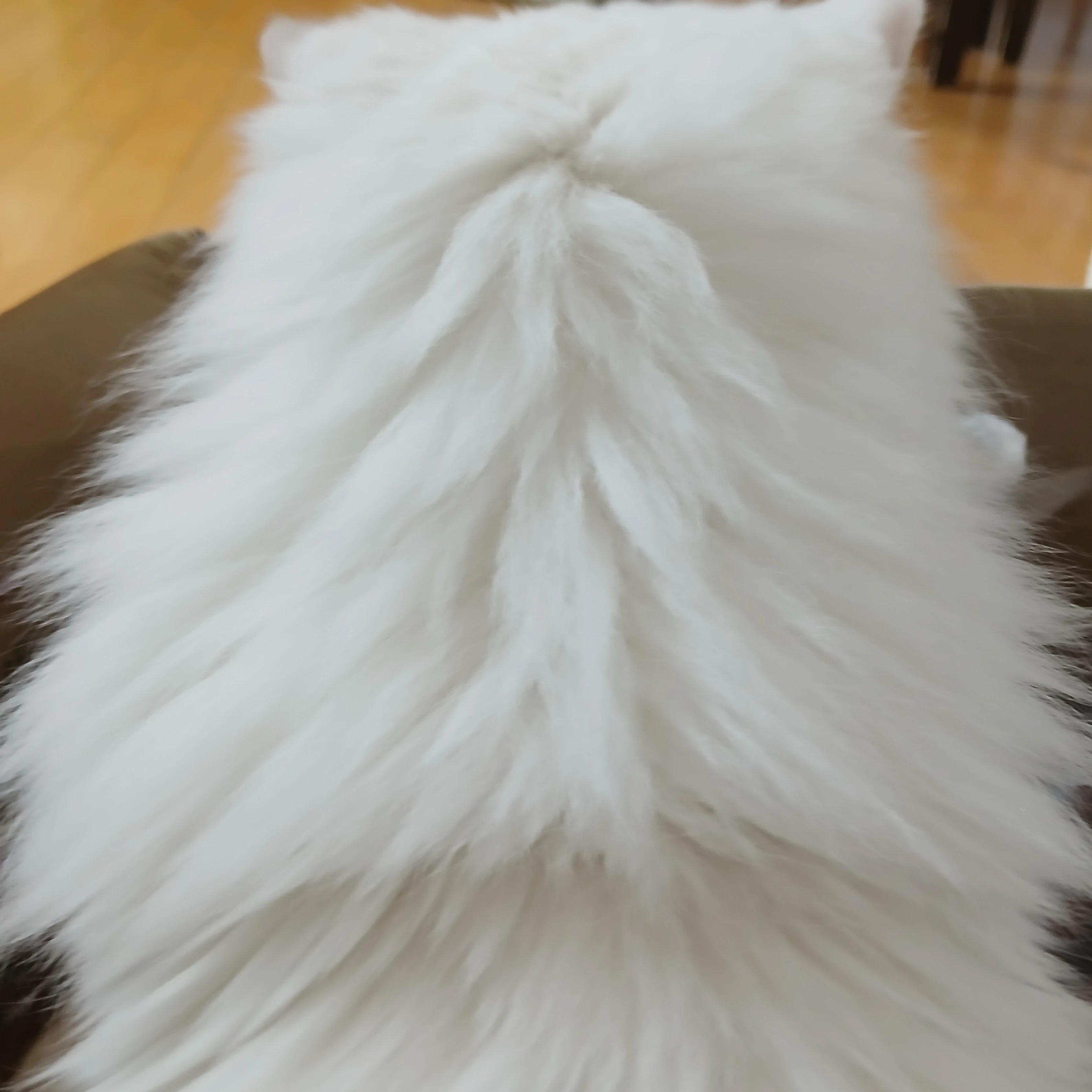 평학