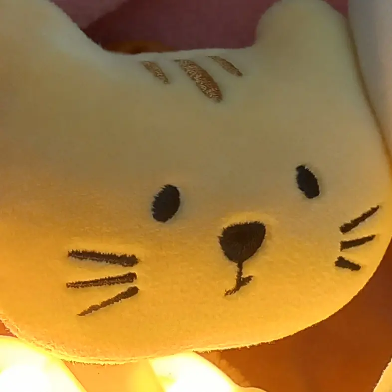 CreamArm8385의 현냥이 집사되기