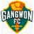 강원 FC (감독)