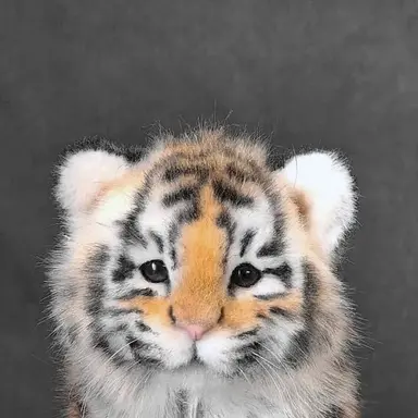 Profile image of 송민기