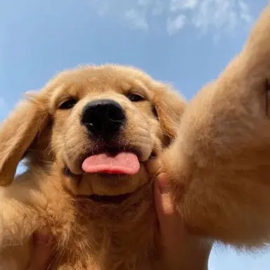 Profile image of 정윤호