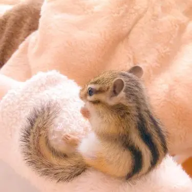 Profile image of 김홍중