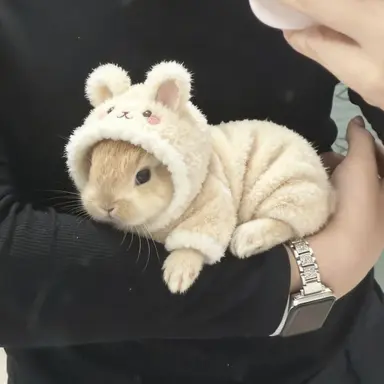 Profile image of 박성화