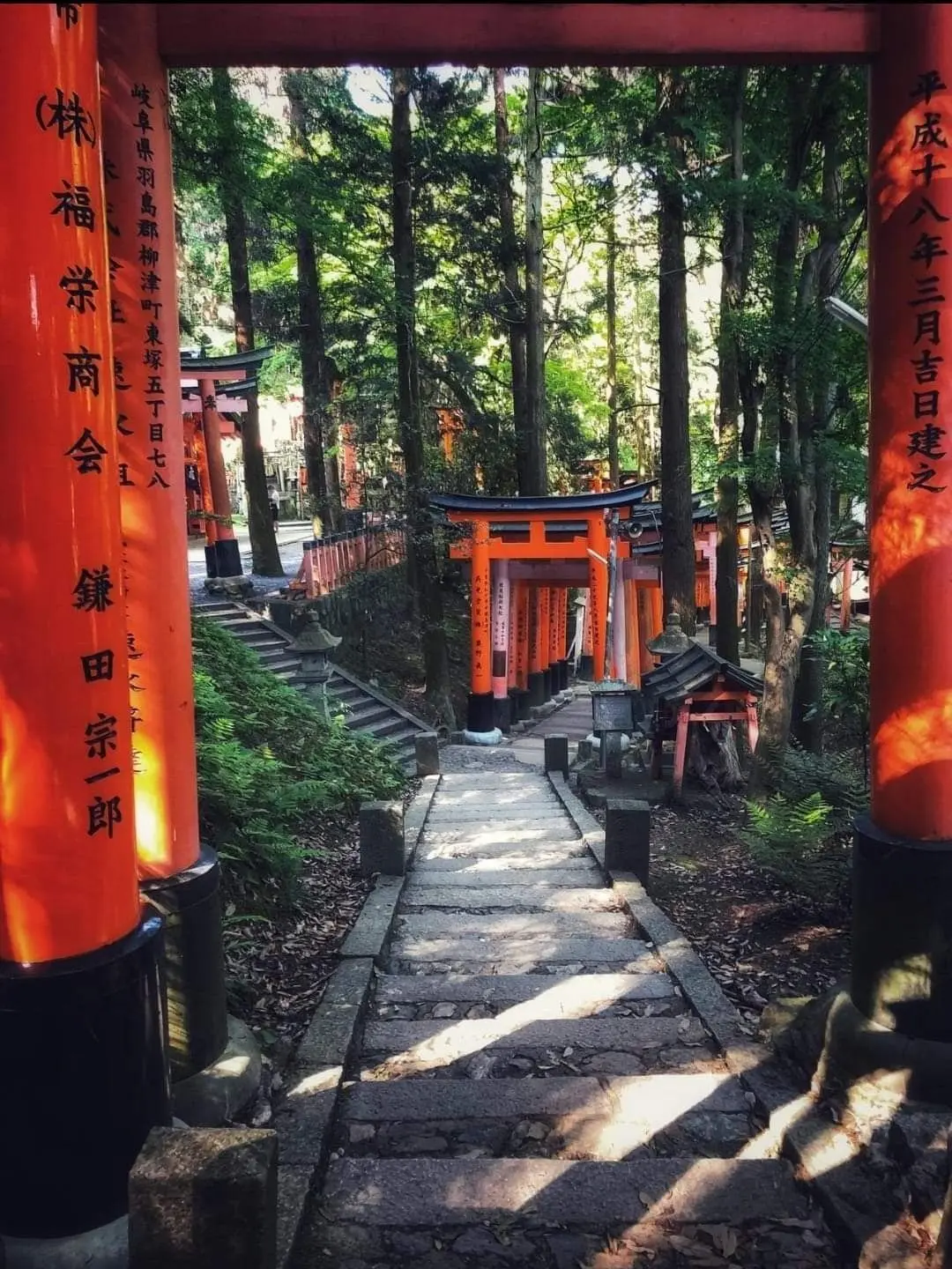 KawaiiH2MchanDAISUKI의 大好き、好き好きだよ いいこのきみが—.