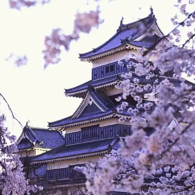 Profile image of 멜로우