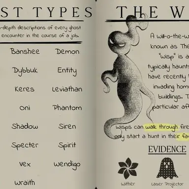 Profile image of The wisp