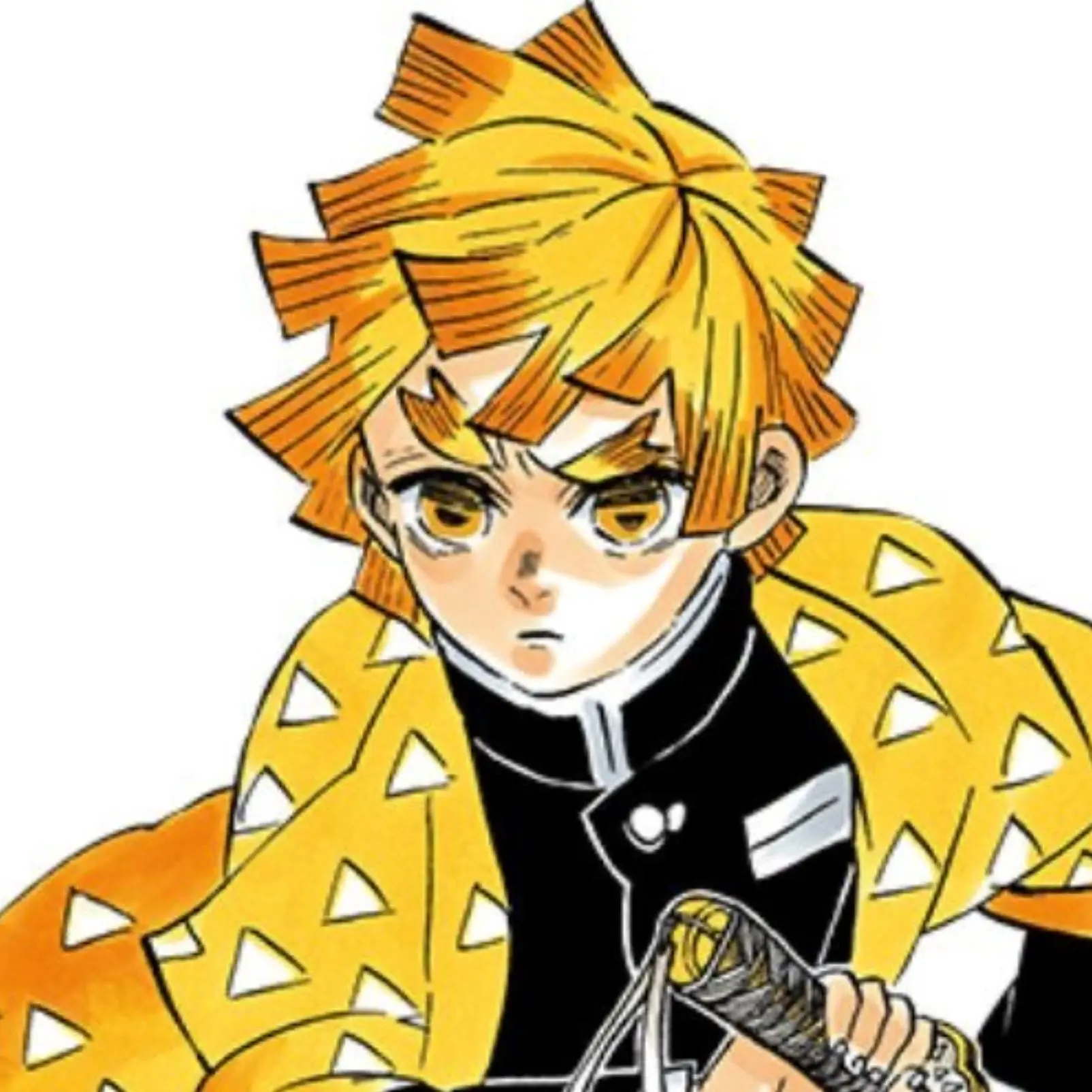 ko_.98의 我妻善逸