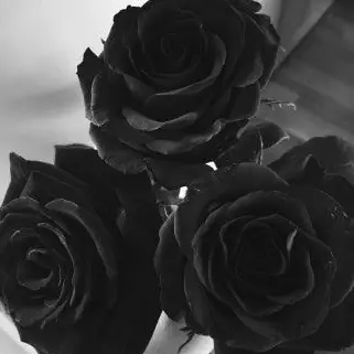 KATCHAN의 ..안아줘.