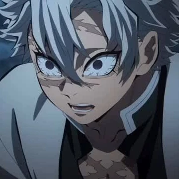 시나즈가와 사네미