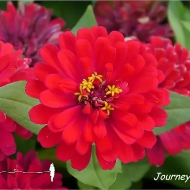 Profile image of 라더