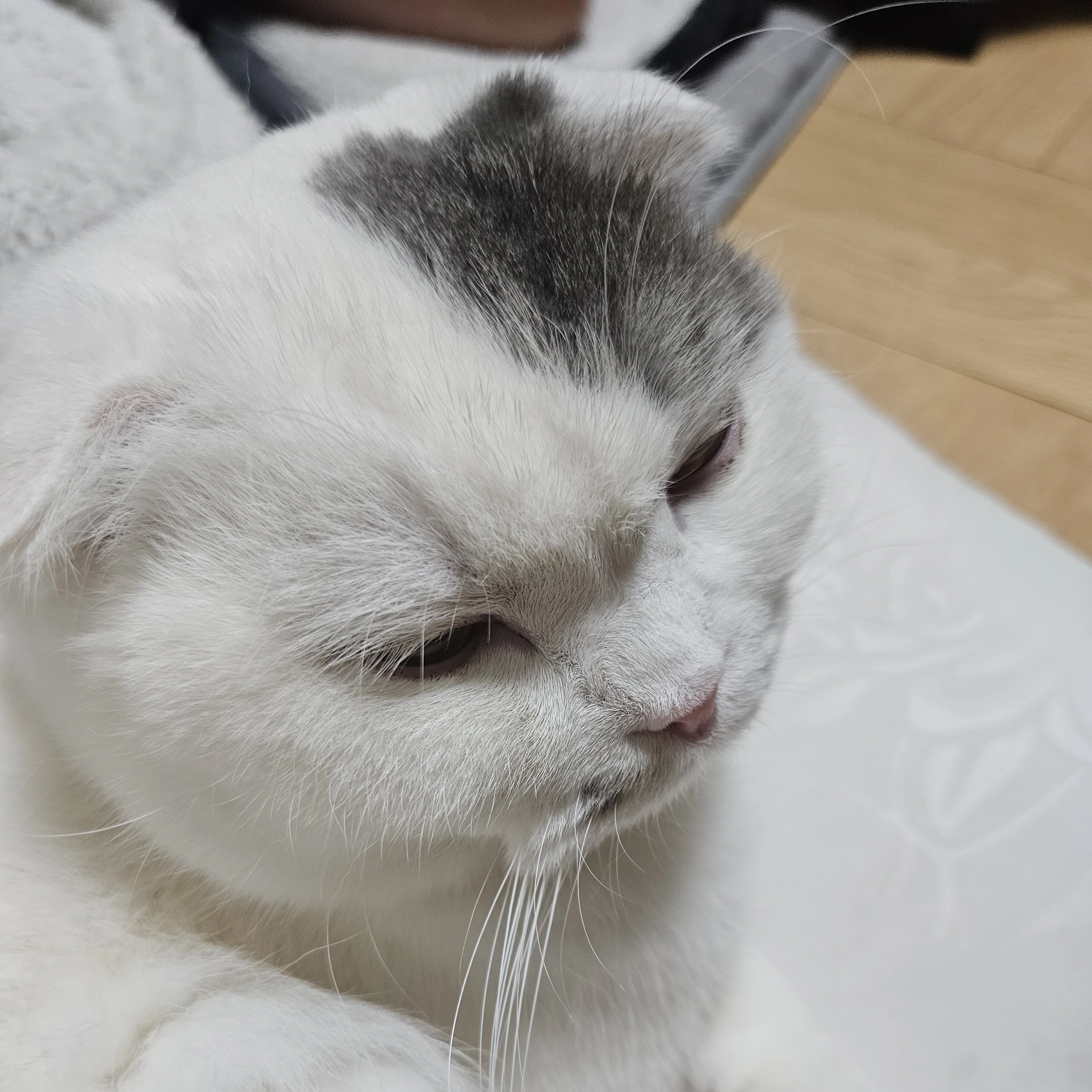 꿈빛학교💜🩵