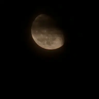 Profile image of 잉