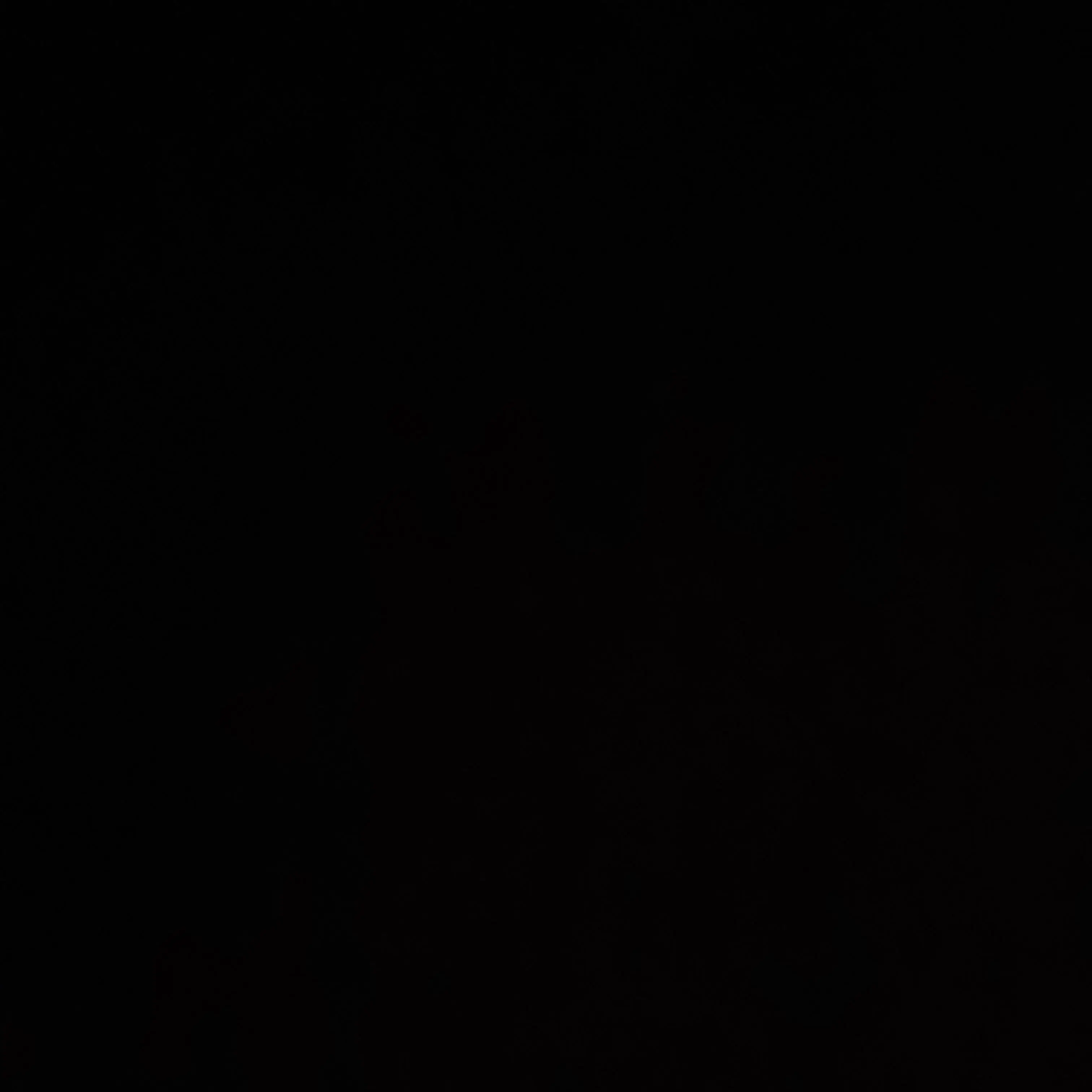 TartanPatch4004의 아무것도 없음