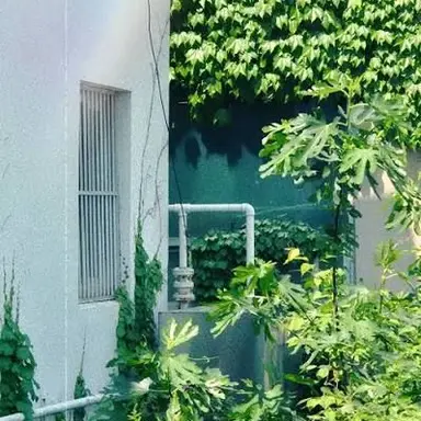 Profile image of 공룡
