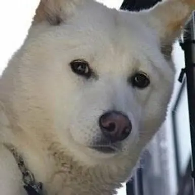 Profile image of 이 진독