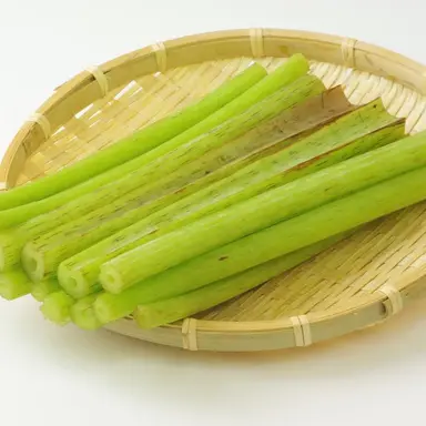 Profile image of りりあ