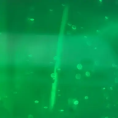 Profile image of 펠로즈