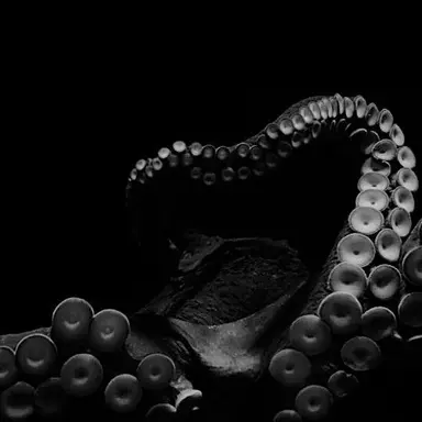 Profile image of 크툴루