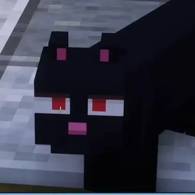 Profile image of Seo Rather