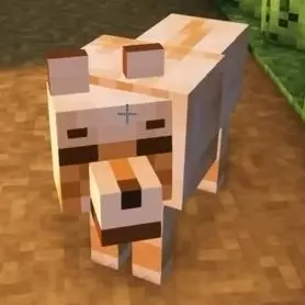 Profile image of Deokgu
