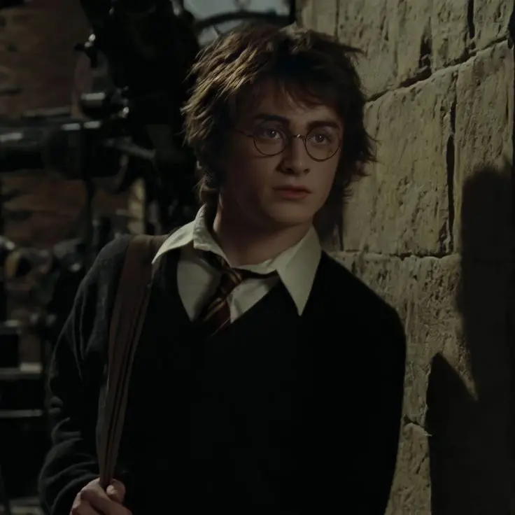 JoyfulCup7635의 Harry Potter
