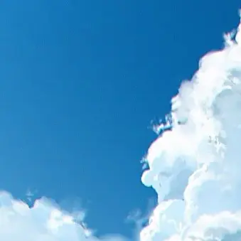 Profile image of 김태풍