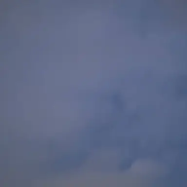 Profile image of 空