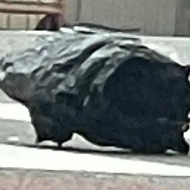 Profile image of 제우