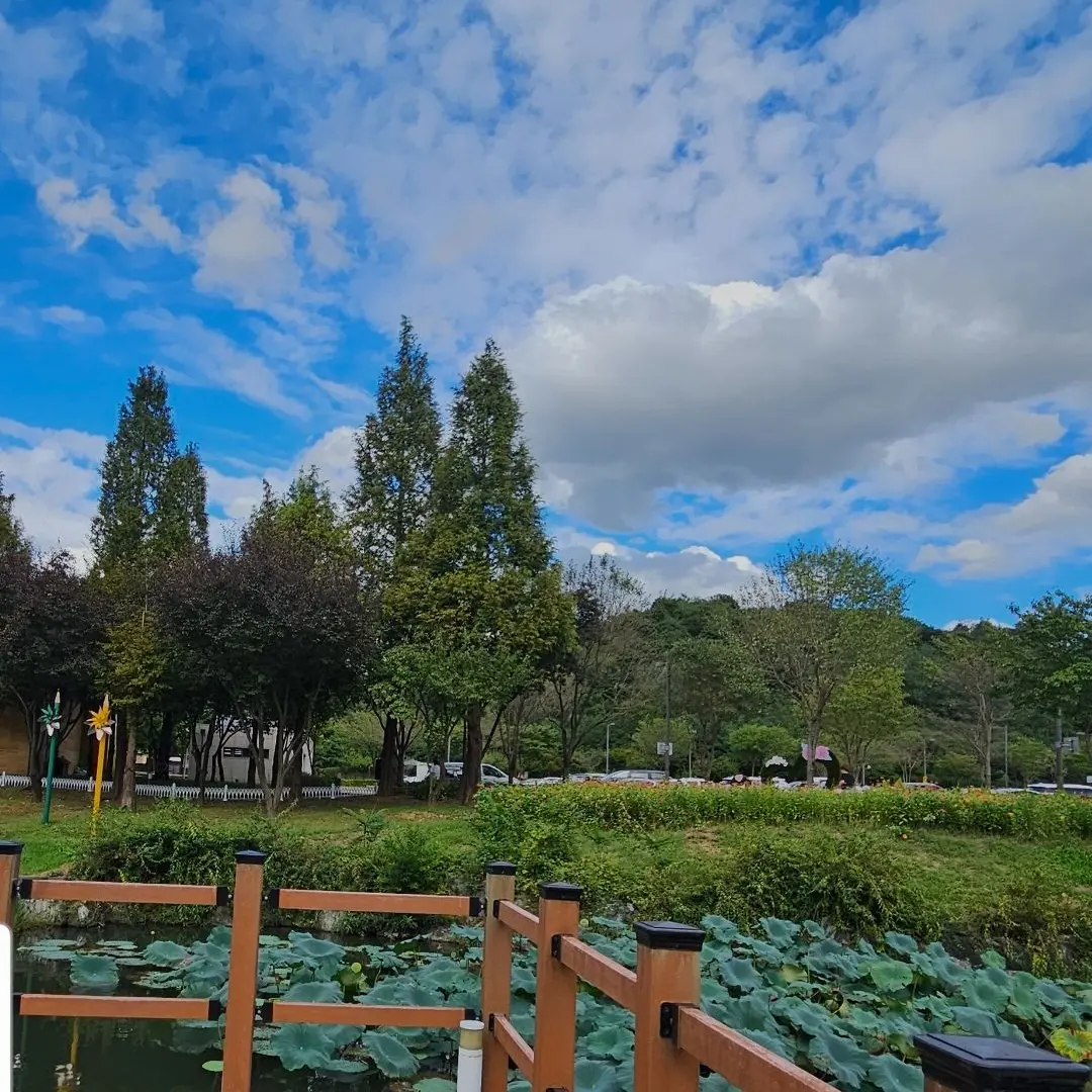 RealFox4934의 팀나빠인데 남자가 여자로 변했다!?