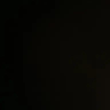 Profile image of 한동민