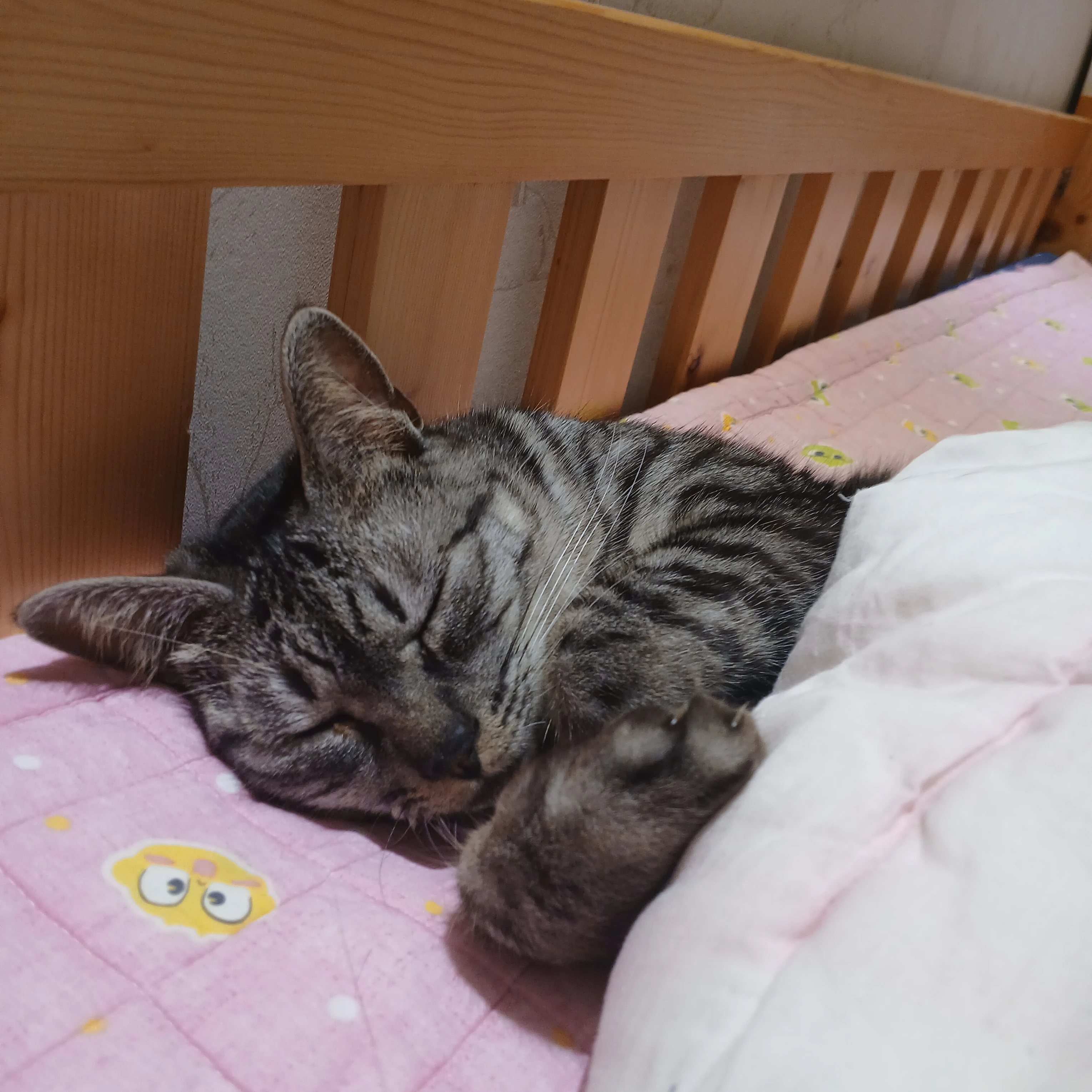 유나
