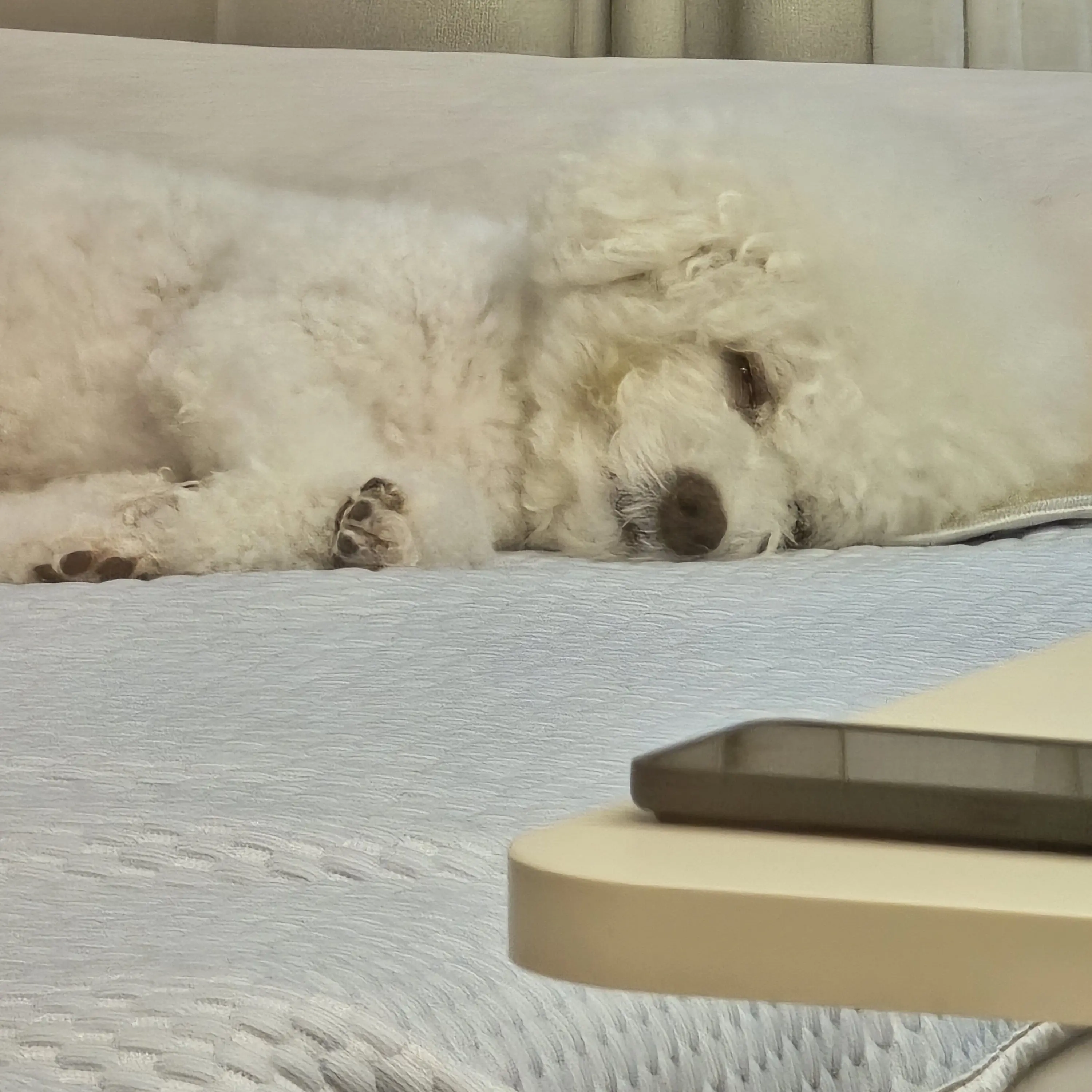 StormyElbow7200의 아픈 유저