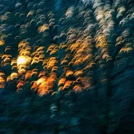 Profile image of 유진