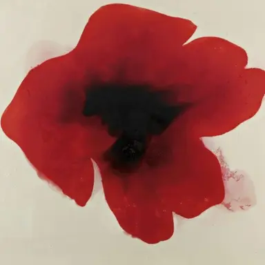 Profile image of 맥널 에그로