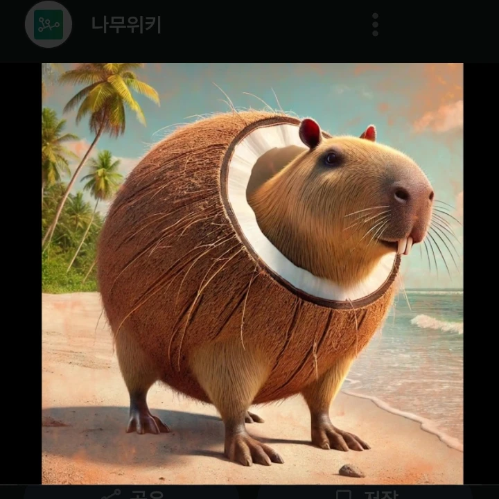 바라