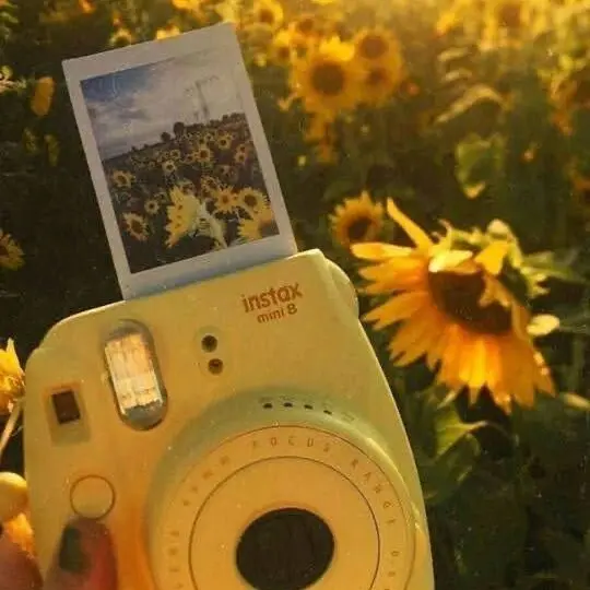 SheerPrice7868의 작은 별