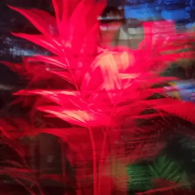 Profile image of 라더