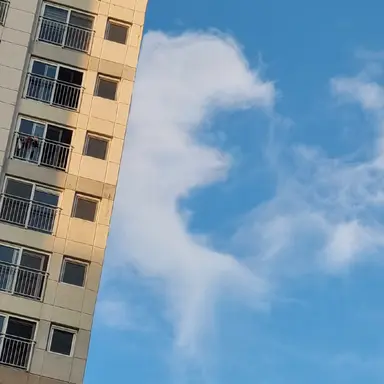 Profile image of 픽셀리 연구원들