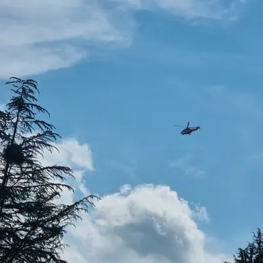 Profile image of 잠뜰