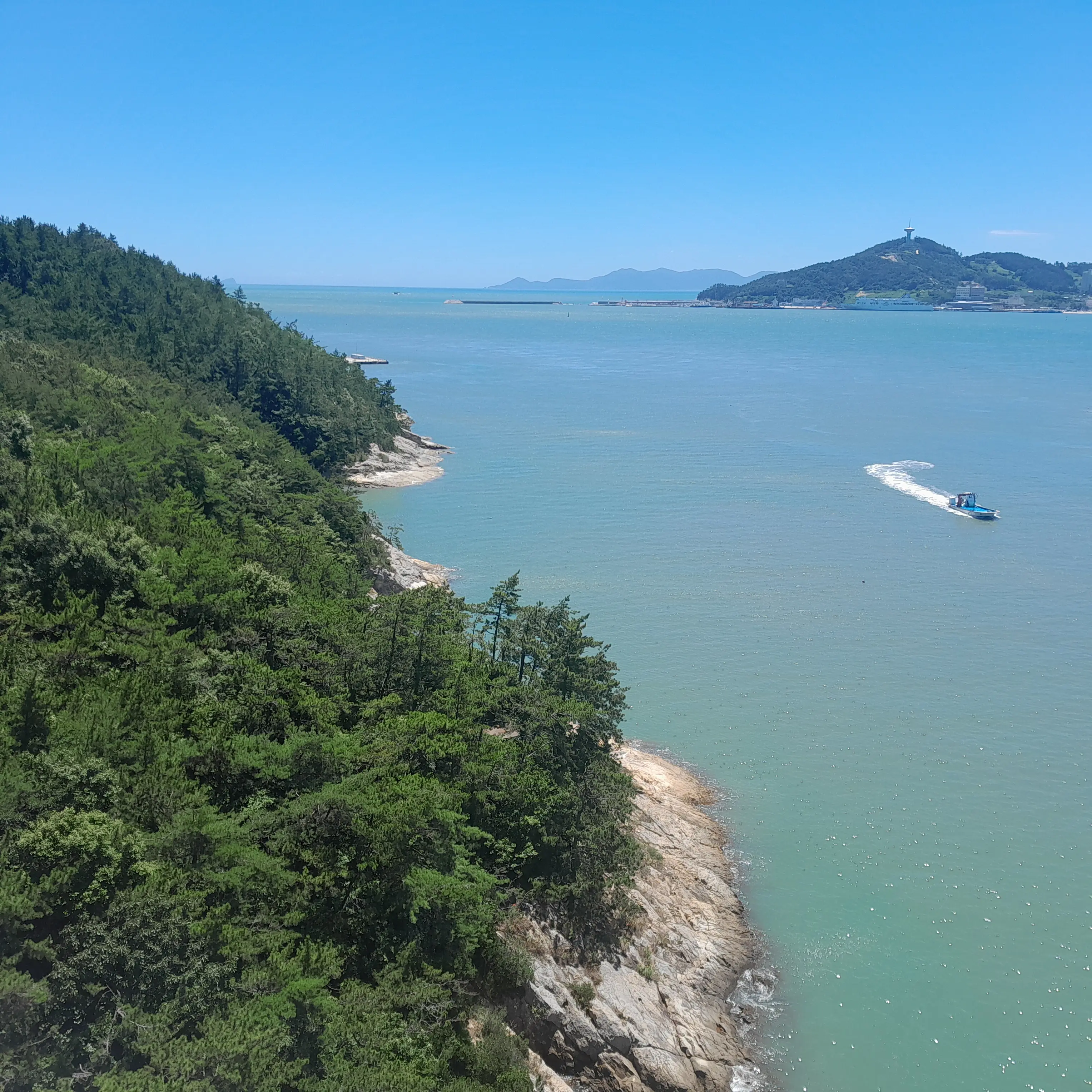 DullTakin6492의 공룡