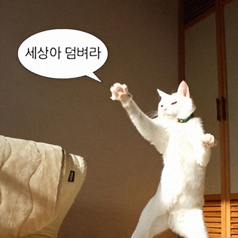 쌈뽕한 냥이