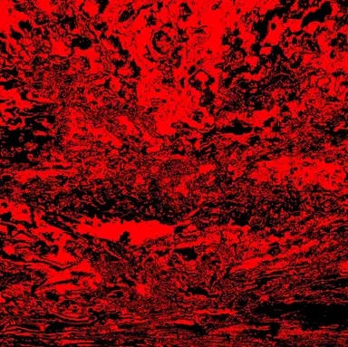 Profile image of 스팩터