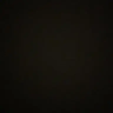 Profile image of 이진후