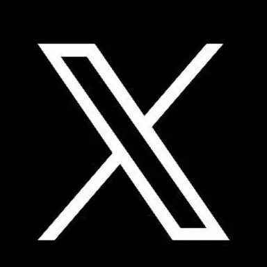 Profile image of X