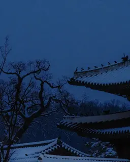 Profile image of 恵妃